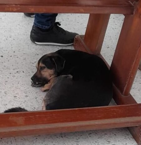 muelitas-parroquia-san-juan-de-la-cruz.j